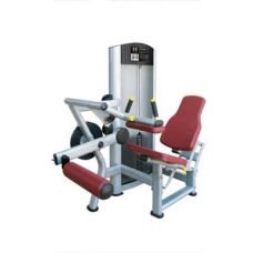 AX8814 Seated Leg Curl